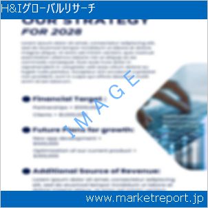市場と産業調査レポートのイメージ